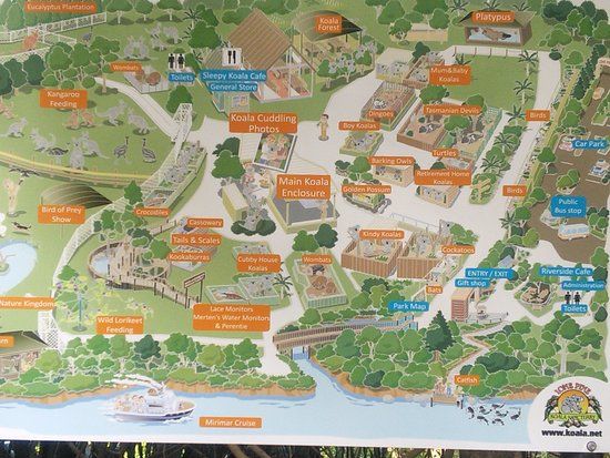 Santuário Lone Pine Koala